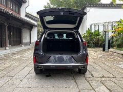 Changan Chitu Lingyun 400T Two-Wheel Drive Star Premium Edition - photo 7