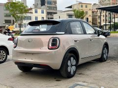 Wuling Bingguo Pro 330km Deluxe Edition - ფოტო 19
