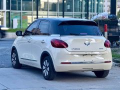 Wuling Binguo 333km Lingxi Premium Edition - ფოტო 19