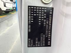 Farizon V V8E Edition- Edition 350km - photo 17