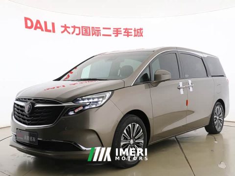 2021 Buick GL8 ES Land Respect 653T Luxury - автомобиль из Китая