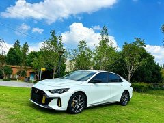 Trumpchi Yingbao 270T DCT J15 - photo 1