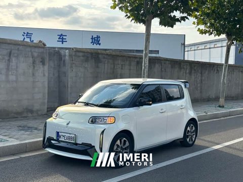 2022 ORA White Cat Little Wildcat 360km Luxury Ternary Lithium - автомобиль из Китая
