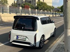 ORA White Cat Little Wildcat 360km Luxury Ternary Lithium - ფოტო 6