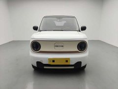 Geely Panda mini 200km Longteng PRO Edition - фото 5