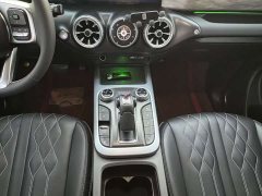 Tank 300 Off-Road Edition 2.0T Challenger - ფოტო 9