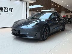 Tesla Model 3 Performance All-Wheel Drive - ფოტო 1
