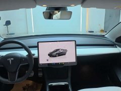 Tesla Model 3 Performance All-Wheel Drive - ფოტო 8