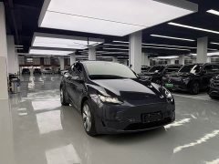 Tesla Model Y Standard Range RWD - ფოტო 3