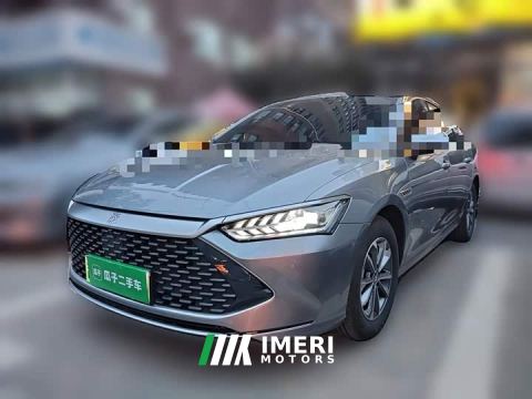 2024 BYD Qin PLUS Glory Edition DM-i 55KM Leading