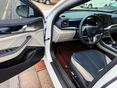 BYD Qin PLUS 2021 EV 500KM Luxury - ფოტო 14