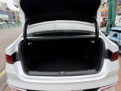 BYD Qin PLUS 2021 EV 500KM Luxury - ფოტო 15