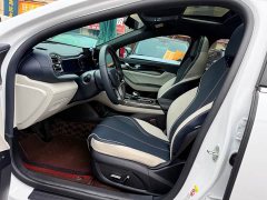 BYD Qin PLUS 2021 EV 500KM Luxury - ფოტო 8