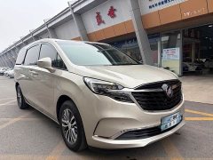 Buick GL8 ES Land Respect 653T Respect Enjoyment Edition - photo 1