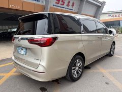 Buick GL8 ES Land Respect 653T Respect Enjoyment Edition - photo 16