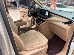 Buick GL8 ES Land Respect 653T Respect Enjoyment Edition - photo 7