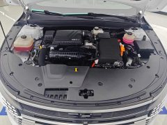 BYD Destroyer 05 Champion Edition DM-i 120KM Premium Type - ფოტო 10