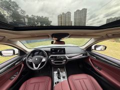 BMW 5 Series 525Li Luxury Package - ფოტო 9