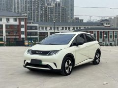 BYD Dolphin 420km Freedom Edition - photo 1