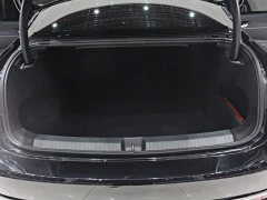 Volkswagen Passat Pro 380TSI Starry Sky Dragon Prestige Edition - photo 13