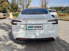 Tesla Model 3 Rear-Wheel Drive - ფოტო 6