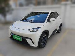 BYD Seagull Glory Edition 305km Freedom Version - ფოტო 1