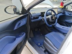 BYD Seagull Glory Edition 305km Freedom Version - ფოტო 12