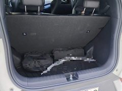 BYD Seagull Glory Edition 305km Freedom Version - ფოტო 15