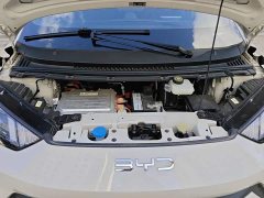 BYD Seagull Glory Edition 305km Freedom Version - ფოტო 16