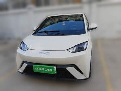 BYD Seagull Glory Edition 305km Freedom Version - ფოტო 2