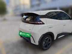 BYD Seagull Glory Edition 305km Freedom Version - ფოტო 3