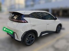 BYD Seagull Glory Edition 305km Freedom Version - ფოტო 4