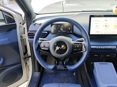 BYD Seagull Glory Edition 305km Freedom Version - ფოტო 6