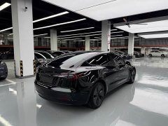 Tesla Model 3 Rear-Wheel Drive - ფოტო 16
