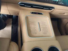 Voyah Avatr Dream Car PHEV AWD Flagship Qiankun Edition - ფოტო 16