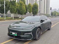Geely Galaxy Xingyao 8 225km EM-i Far Voyage Family Ocean Edition - photo 1