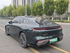 Geely Galaxy Xingyao 8 225km EM-i Far Voyage Family Ocean Edition - photo 9