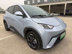 BYD Seagull 305km Freedom Edition - ფოტო 3