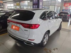 Haval M6 PLUS 1.5T DCT Elite Smart Connected Edition - photo 4