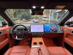 Li Auto L7 MAX - ფოტო 13