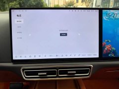 Li Auto L7 MAX - ფოტო 9