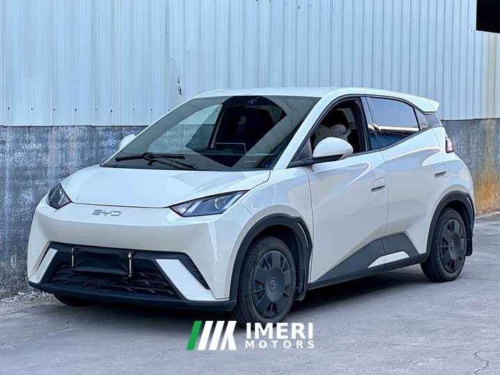 BYD Seagull Vitality Edition - ავტომობილი ჩინეთიდან