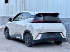 BYD Seagull Vitality Edition - ფოტო 3
