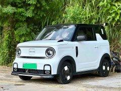 Geely Panda 210km Panda Kart - ფოტო 1