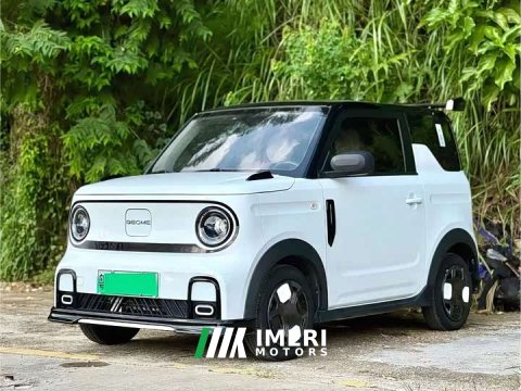 2025 Geely Panda 210km Panda Kart - ავტომობილი ჩინეთიდან