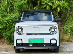 Geely Panda 210km Panda Kart - ფოტო 2