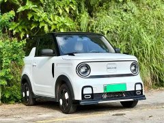 Geely Panda 210km Panda Kart - ფოტო 3