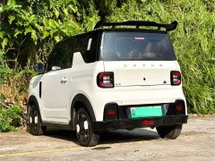 Geely Panda 210km Panda Kart - ფოტო 7
