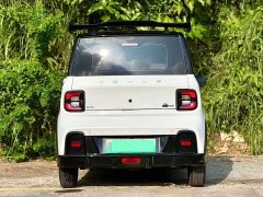 Geely Panda 210km Panda Kart - ფოტო 8