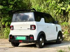 Geely Panda 210km Panda Kart - ფოტო 9
